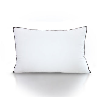 Casa Decor Silk Blend Pillow - Twin Pack-1833647245338218497