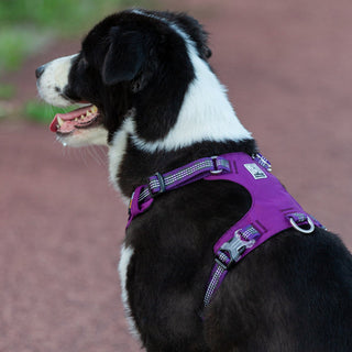 True Love Lightweight Reflective Harness - Purple, XL-1831155640869982213