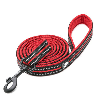 True Love Reflective Pet Leash 2m - Red, S-1831155648914657281