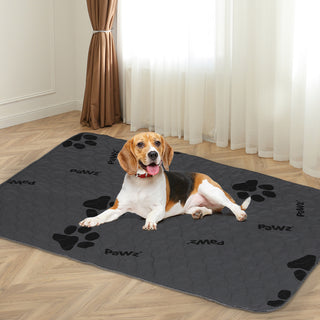 PaWz 2x Washable Dog Puppy Training XXL XX-Large-1843791338936602630