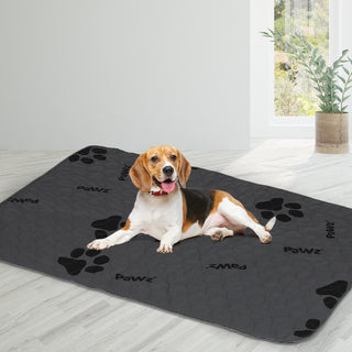 PaWz 2x Washable Dog Puppy Training XXL XX-Large-1843791338936602631