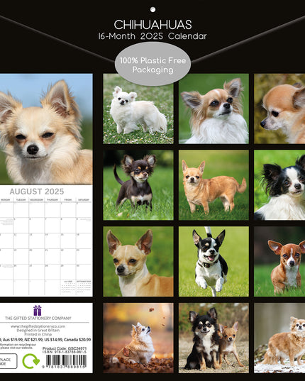 Chihuahuas 2025 Square Wall Calendar Dogs Pets Animals 16 Months Premium Planner