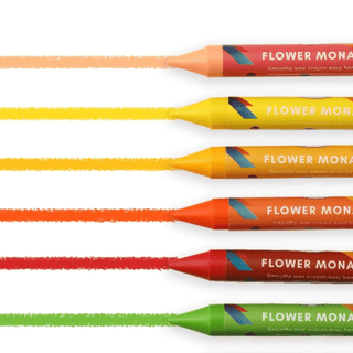 Flower Monaco Palmy Crayons 24 Colour-1848848473999413252