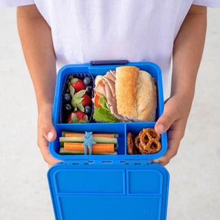 MONTII.CO Little Lunch Box Co | Bento Three - Blueberry-1826049130653421571